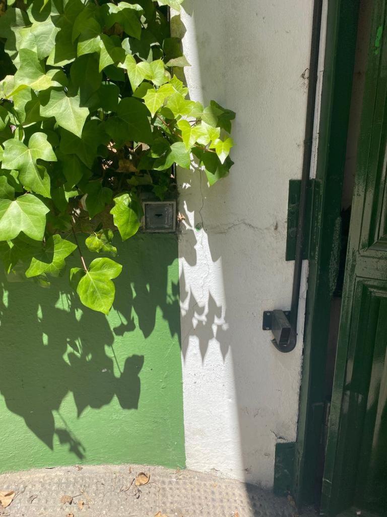 Rentalsevilla San Clemente Buitenkant foto
