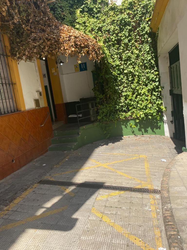 Rentalsevilla San Clemente Buitenkant foto