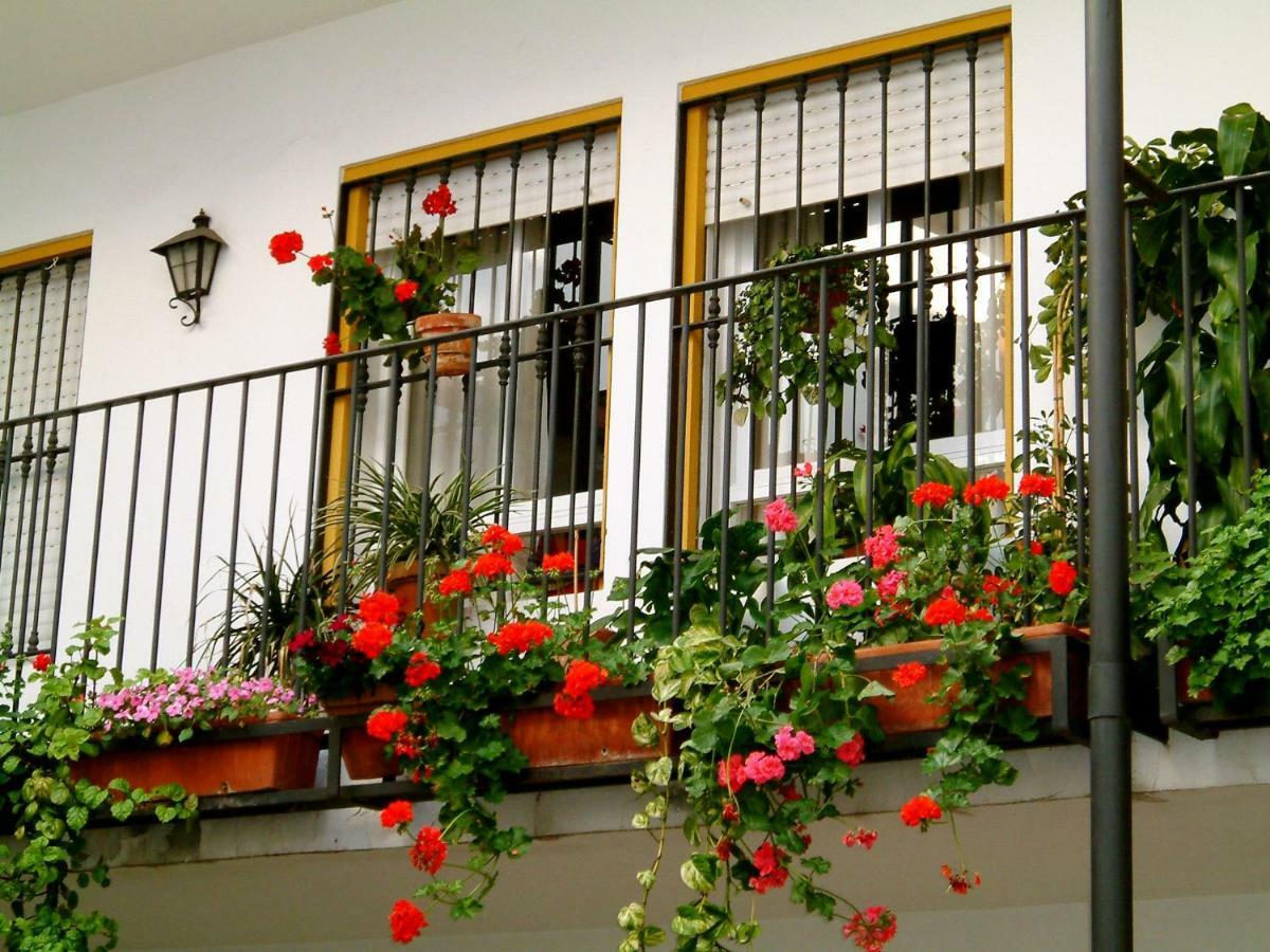 Rentalsevilla San Clemente Buitenkant foto